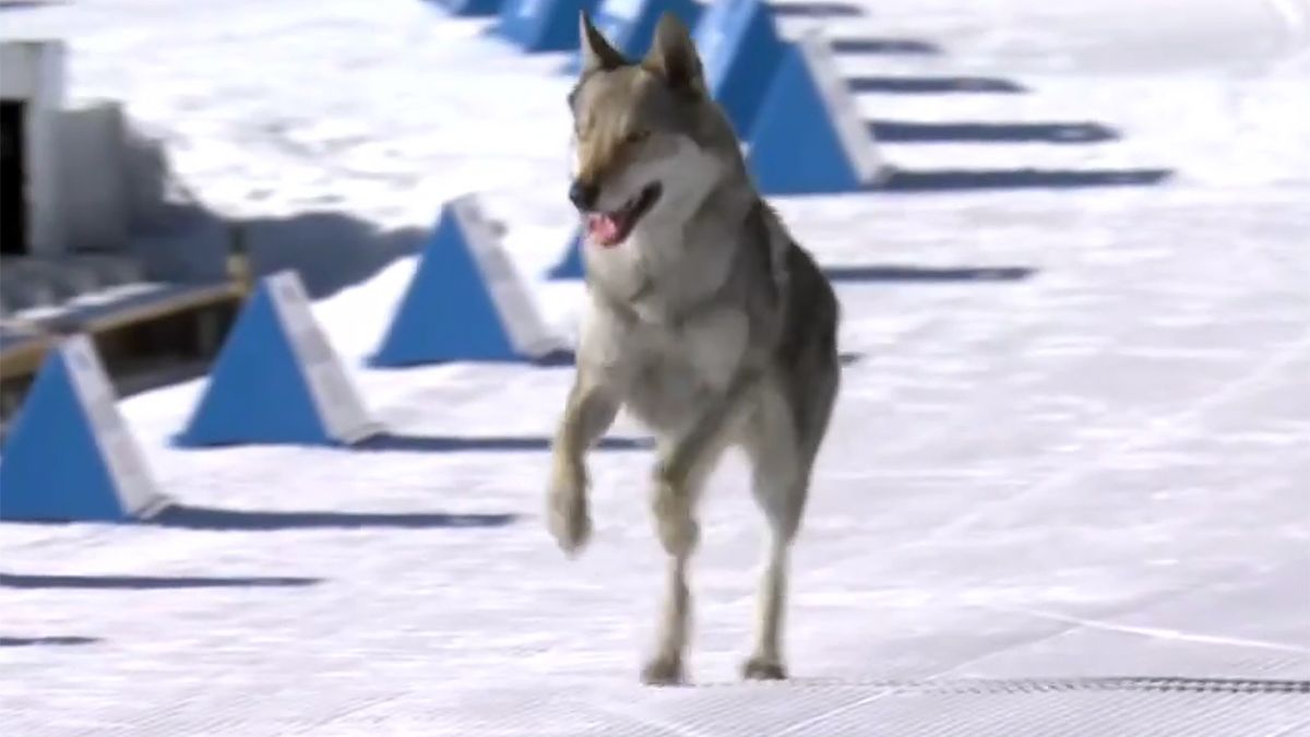 ������ �������� �� ����� � ������� ������� �� ��-2026 � ��������� �������� �����