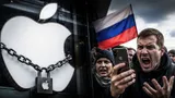 От iPhone к Android: IT-эксперт спрогнозировал рост спроса на бюджетные смартфоны в России