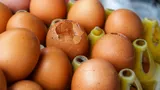 Проверяю куриные яйца на свежесть простыми способами: всегда работают