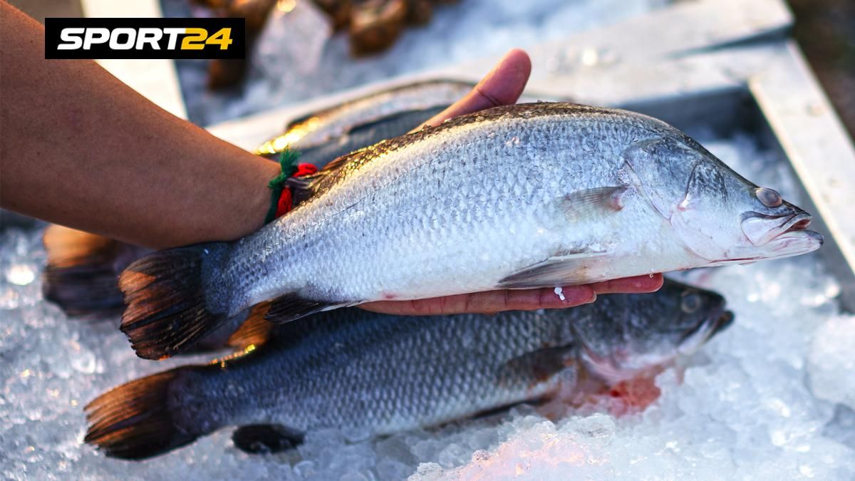 Как выбрать рыбу: в магазине, на рынке, живую, замороженную, на что ...