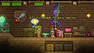 Схема игры за воина в «Террарии»: советы по прохождению