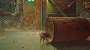 Подборка отличных игр про животных: идеальный вариант провести время для любителей пушистых — и не только