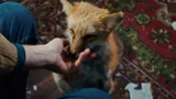 Посмотрела премьеру сериала «Как приручить лису»: история дочери маньяка захватывает с первого кадра