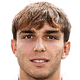 Михайло Цветкович