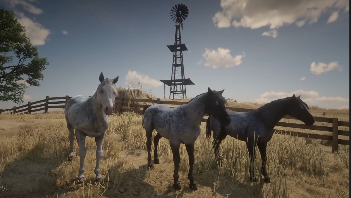 Лошади в Red Dead Redemption 2 — какая лучшая, где поймать, где купить в  РДР 2, Ред Дед Редемпшен 2