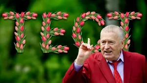 Тест к 8 марта: отличите реальные слова Жириновского о женщинах от выдуманных