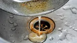 Испортила трубы на кухне и больше не сливаю это в раковину: популярные продукты приводят к засорам и поломке труб