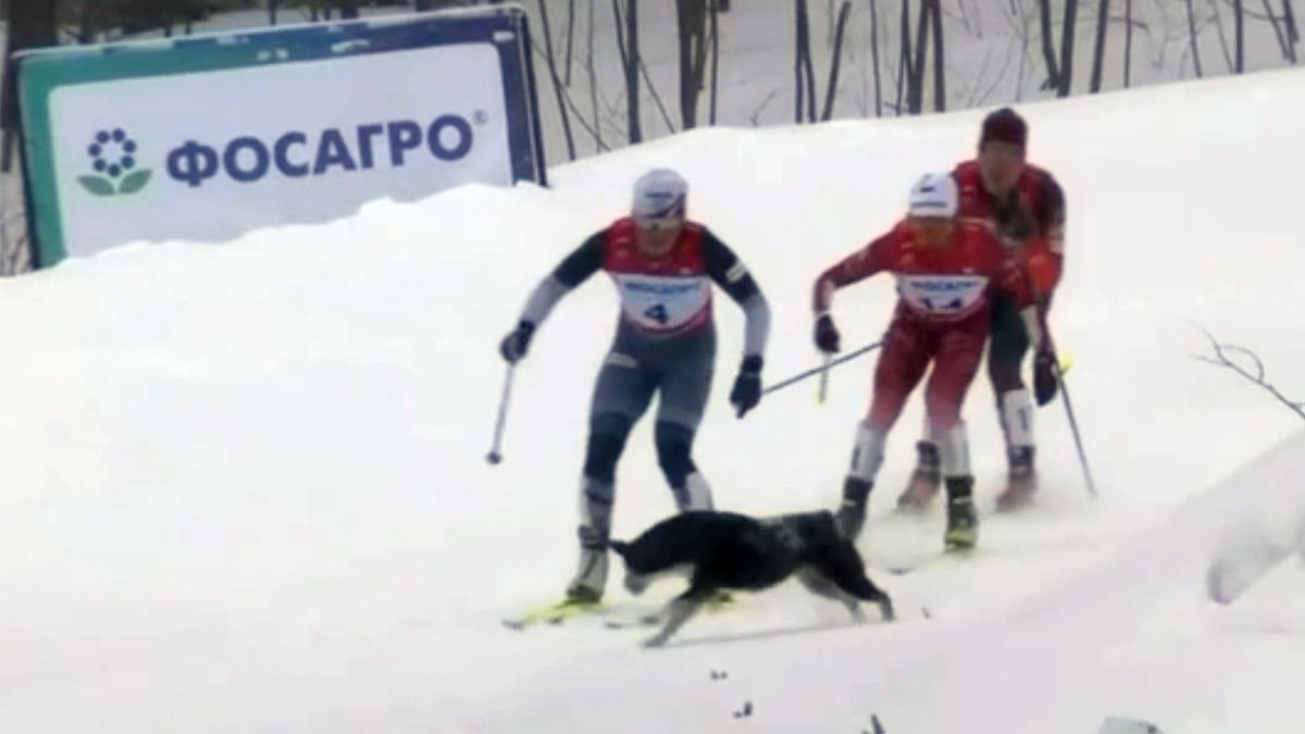 � ��������� ��������������� ������ ���������� ����� � ���� ������� ����� ������������ � �������