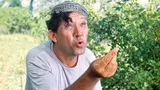 Тест: вспомните, был ли в фильме «Кавказская пленница» этот персонаж. Хорошо знаете легендарную комедию Гайдая?