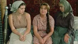 Тест по фильму «Любовь и голуби»: вспомните, как зовут персонажей легендарного кино СССР
