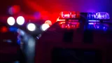 Полицейские разыскивают грабителей, напавших на вдову Градского. У модели отобрали 100 млн рублей