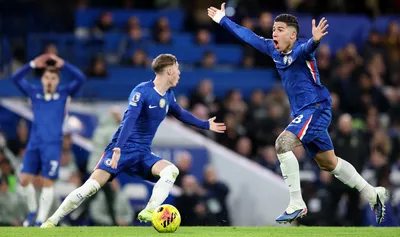 Энцо Фернандес