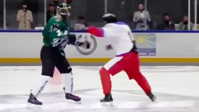 Хоккейные драки, Хоккейные новости