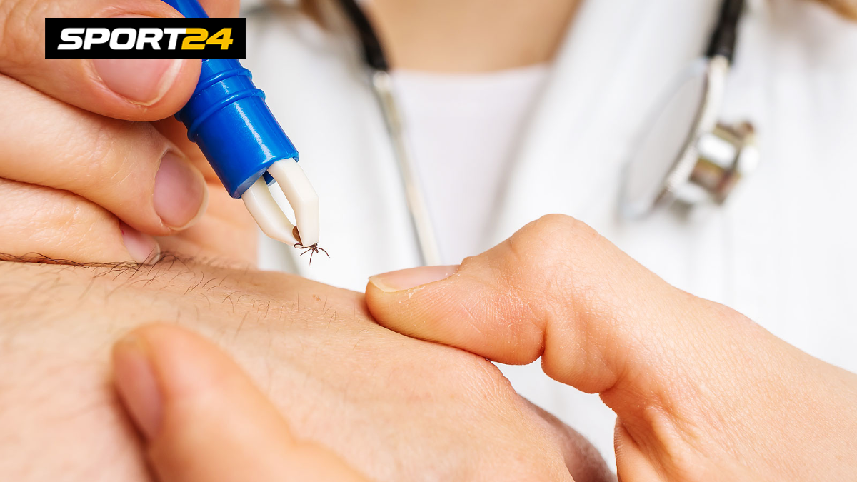 Клещевой боррелиоз болезнь Лайма: симптомы, как предотвратить — что ...