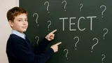 Тест: ответьте на вопросы из программы шестого класса. Знаете больше обычного школьника?