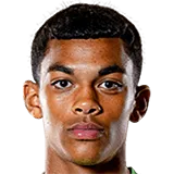 Вэйлон Ренекке