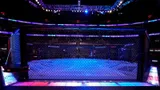 Турнир UFC в Сербии побил два рекорда по досрочным победам