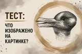 Психологический тест: кого вы видите на картинке — утку или кролика?