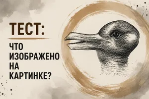 Психологический тест: кого вы видите на картинке — утку или кролика?