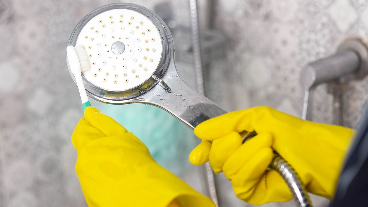 Душевая лейка будет как новая: очистила ее до скрипа простым средством, еще и улучшился напор воды