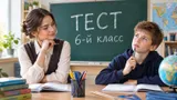 Тест: ответьте на вопросы из 6 класса — сравните свои познания с обычным школьником