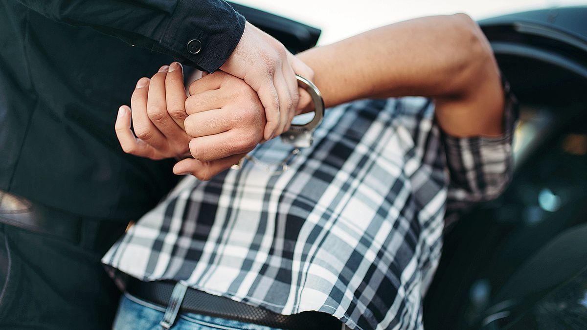 Пытавшиеся похитить Мостового отправлены под стражу