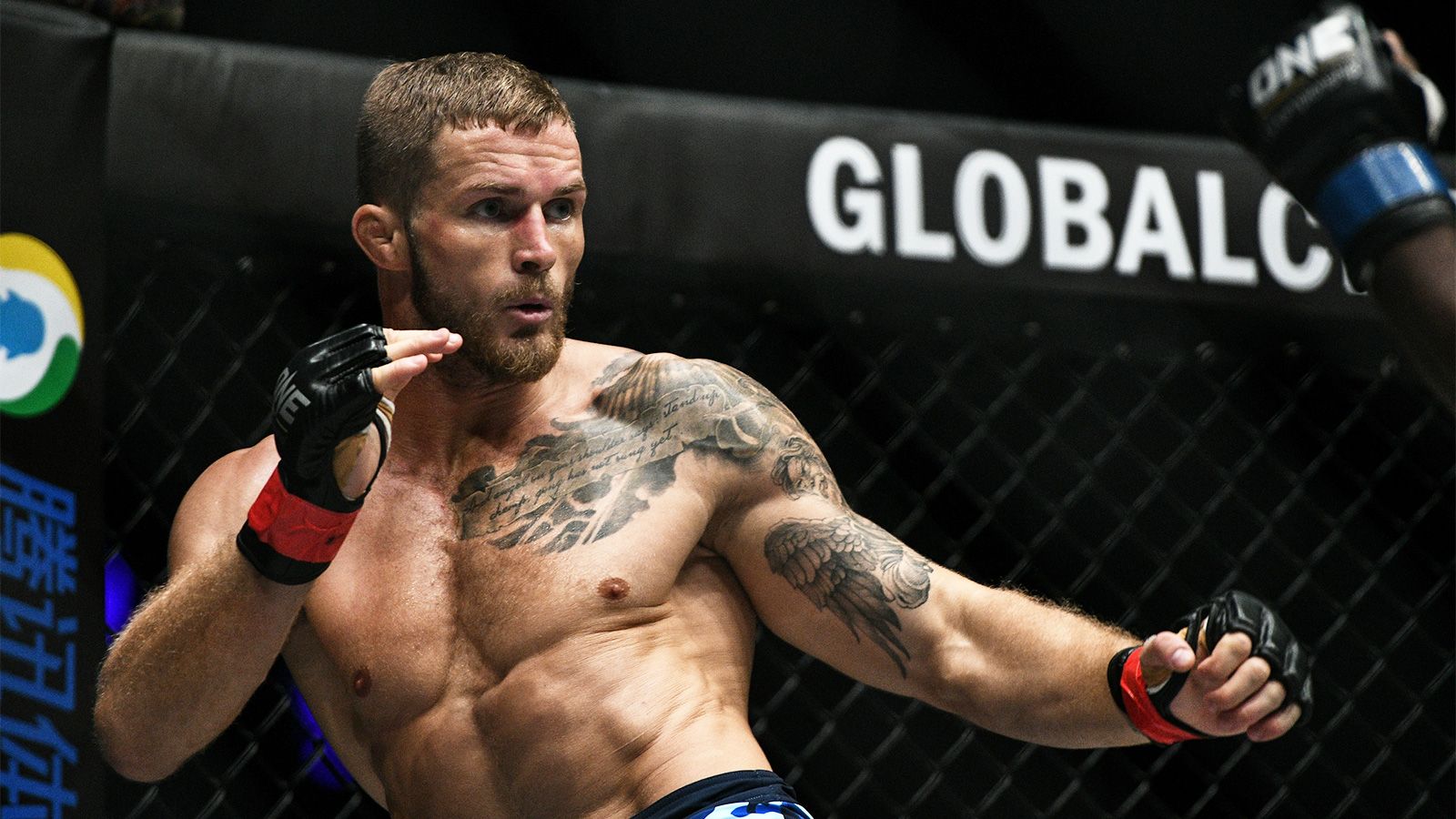 ренье де риддер. малыхин де риддер. малыхин боец. риддер боец. рейнье де риддер боец.