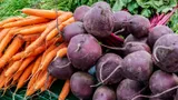 Каждый июль подкармливаю морковь и свеклу этим удобрением: уже забыла, когда покупала овощи в магазине