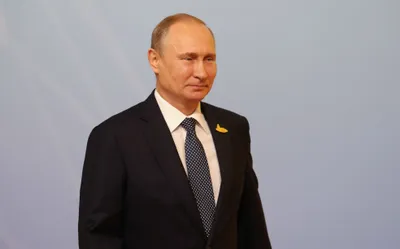 ФК Зенит СПб, ФК Сандерленд