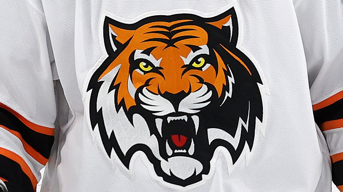 «Амур» — «Лада»: видеообзор и голевые моменты матча КХЛ