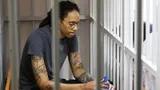 Пятикратный чемпион НБА Родман приедет в Россию ради освобождения осужденной баскетболистки Грайнер