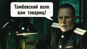 Почему говорят «тамбовский волк тебе товарищ»: фраза из фильма СССР стала крылатой неспроста