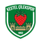 Кестель Чилек