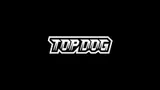 Логотип российской лиги кулачных боев TOP DOG появится на матчах Лиги чемпионов