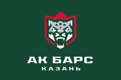 ХК Ак Барс Казань