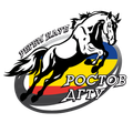 Ростов-ДГТУ