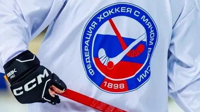 Хоккей с мячом