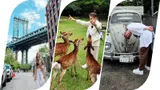 Русские фигуристы покоряют недружественные страны: Косторная управляла оленями, Бойкова красовалась в топе