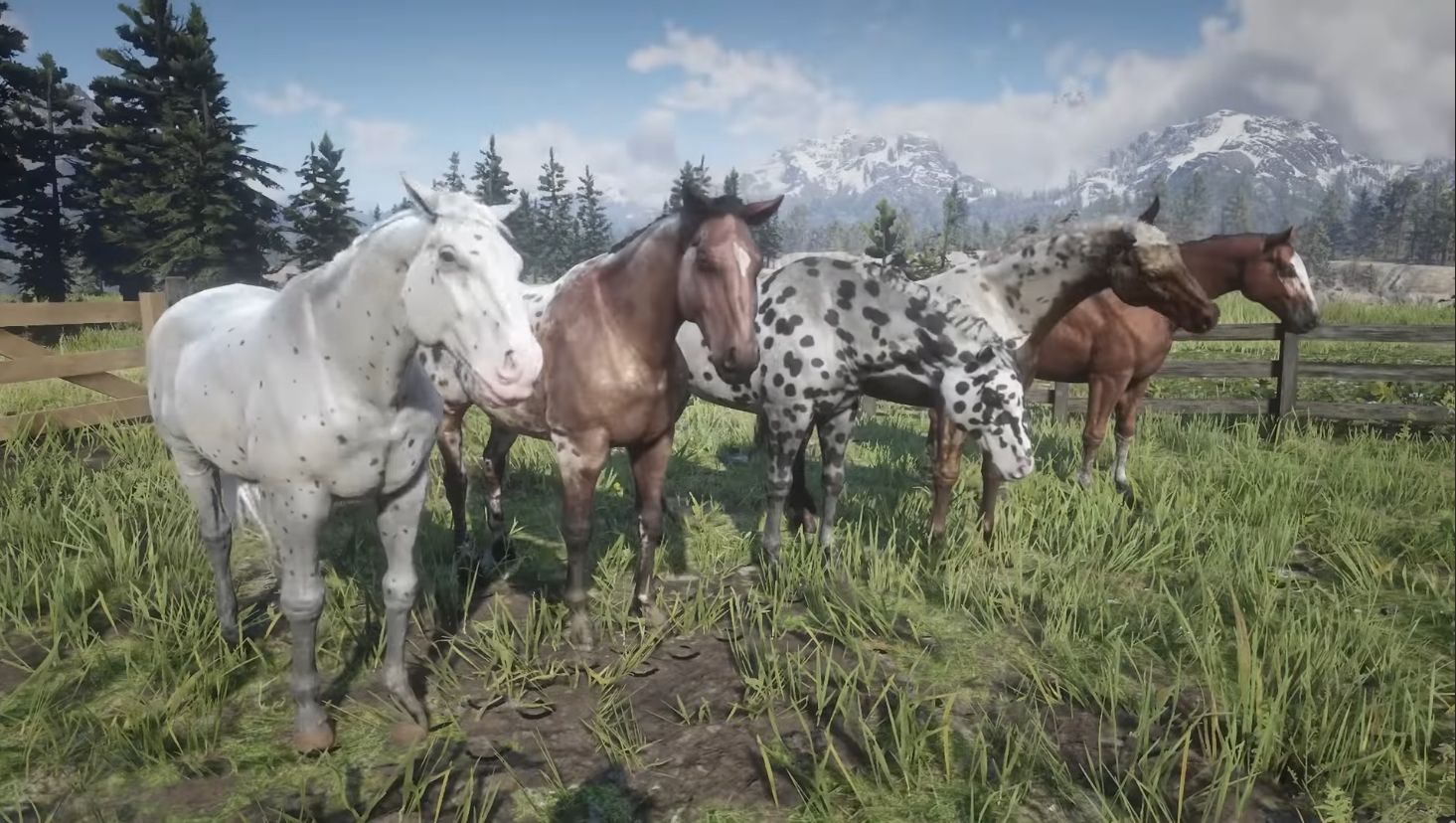 Лошади в Red Dead Redemption 2 — какая лучшая, где поймать, где купить ...