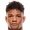 Теодор Берггрен