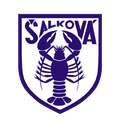 Шалкова