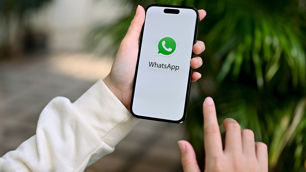 Журова о блокировке WhatsApp в России: Я не верю, что есть хоть один мессенджер, который нельзя взломать