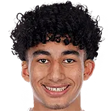 Райан Эллуми