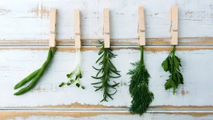 Обычная деревяшка избавила кухню от неприятного запаха: попробовала народный способ и не пожалела