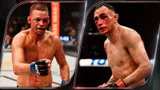 Ветераны UFC устроят кровавую бойню, но победитель и так очевиден. Прогноз на Нейт Диаз — Тони Фергюсон