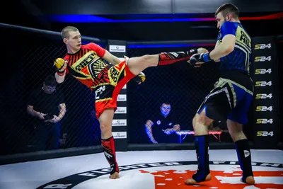 Поп-MMA