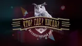 На этом простецком вопросе посыпались знатоки «Что? Где? Когда?», хотя любой фанат спорта легко на него ответит