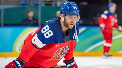 Давид Пастрняк