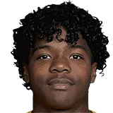 Яйго ван Оммерен