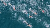 Российская пловчиха Короткова победила в заплыве через Дарданеллы
